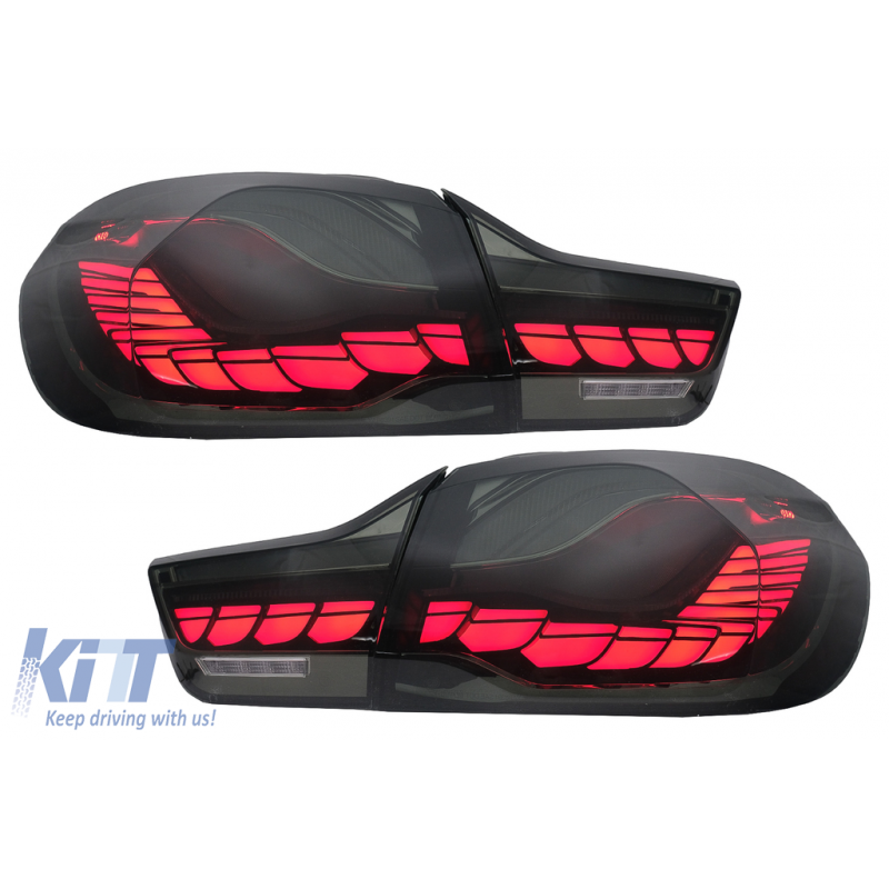 FANALI POSTERIORI OLED DYNAMIC RED SMOKE