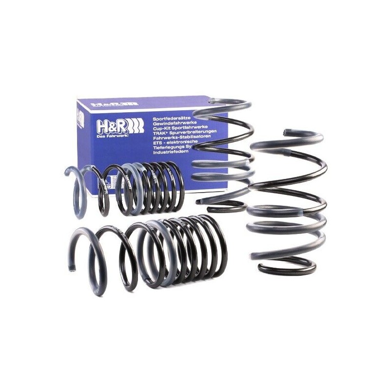 KIT MOLLE SPORTIVE H&R -20/-35