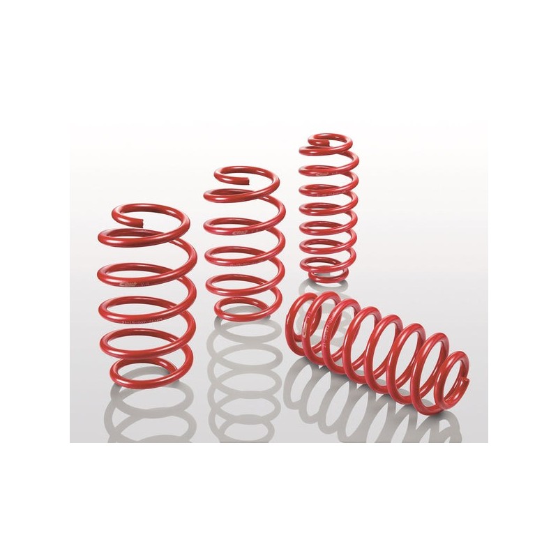 KIT MOLLE SPORTLINE -30/-20