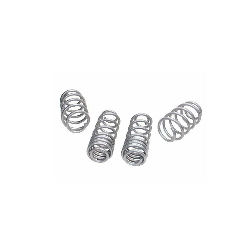 KIT MOLLE LOWERED -25/-25