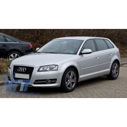 GRIGLIE FENDINEBBIA S-LINE-S3 DESIGN